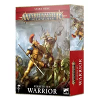 AGE OF SIGMAR: WARRIOR