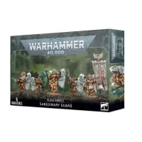 BLOOD ANGELS: SANGUINARY GUARD