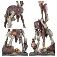 FLESH-EATER COURTS: ROYAL DECAPITATOR - Image 2
